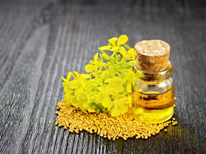 MUSTARD OIL