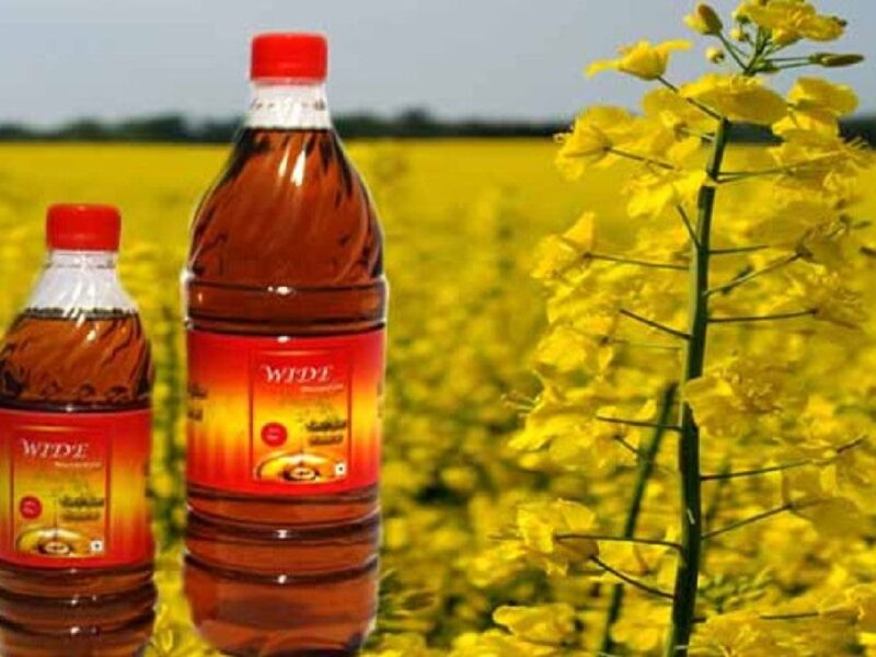 Mustard Oil: सरसों तेल के दाम फिरते हुए धड़ाम ,फटाफट चेक करें अपने शहर का ताजा भाव