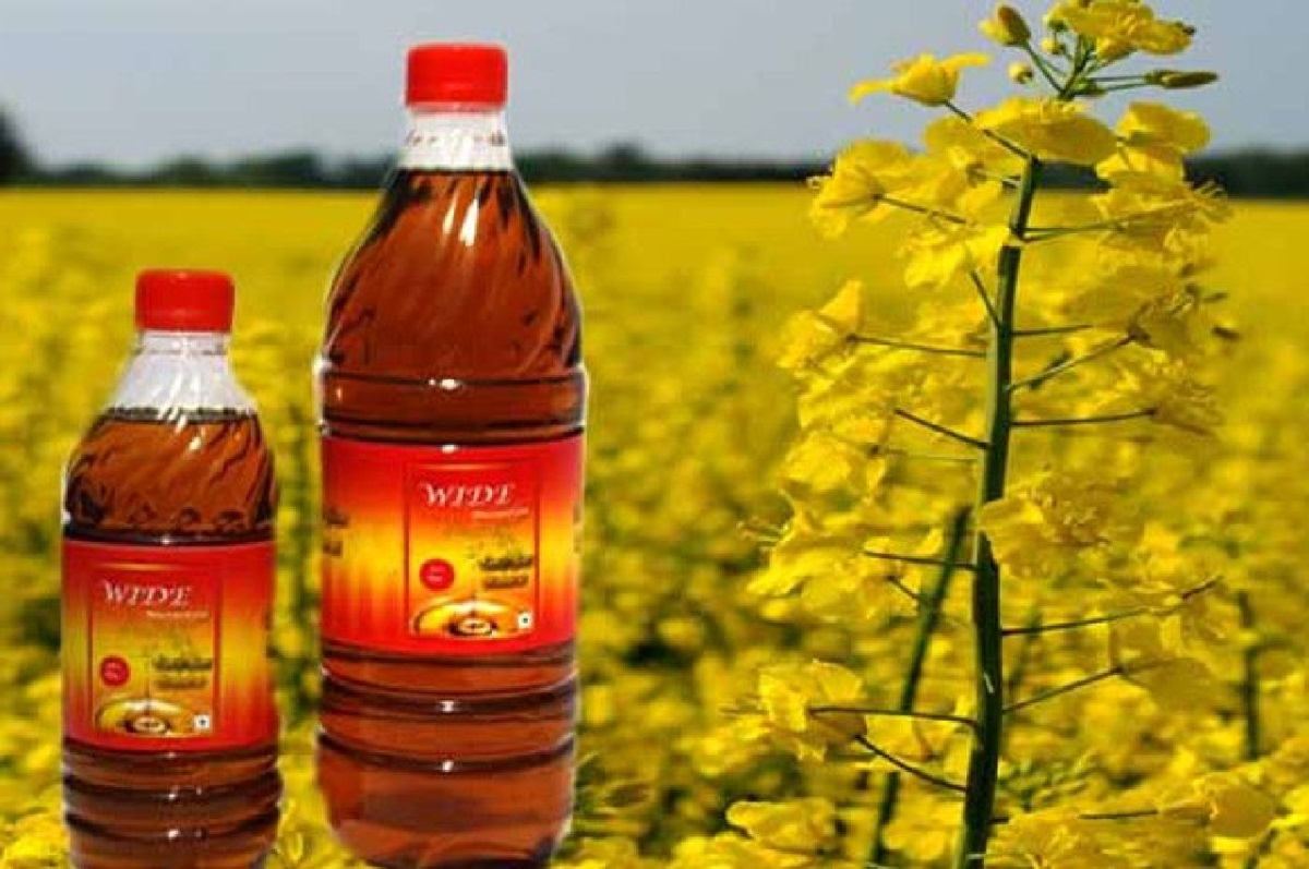 Mustard Oil: सरसों तेल के दाम फिरते हुए धड़ाम ,फटाफट चेक करें अपने शहर का ताजा भाव