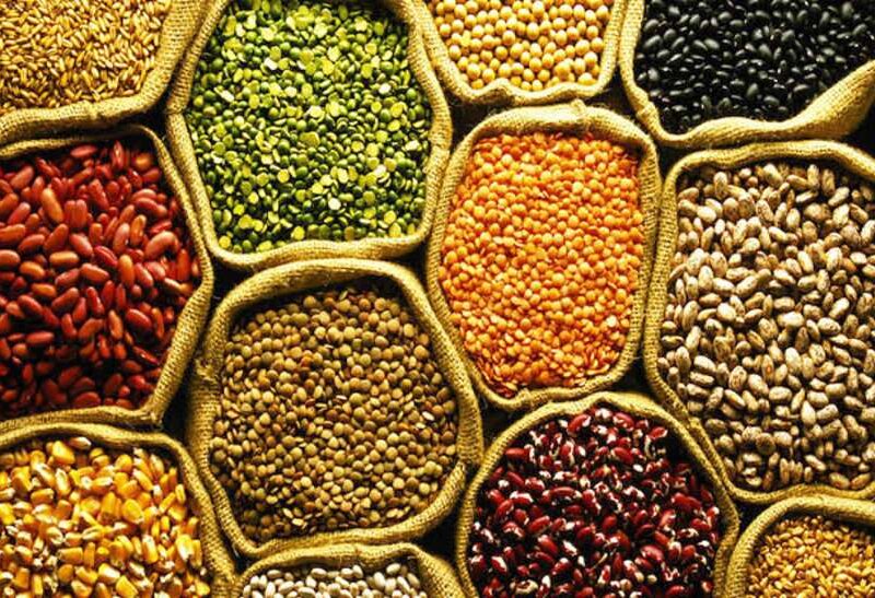 PIGEON PEA