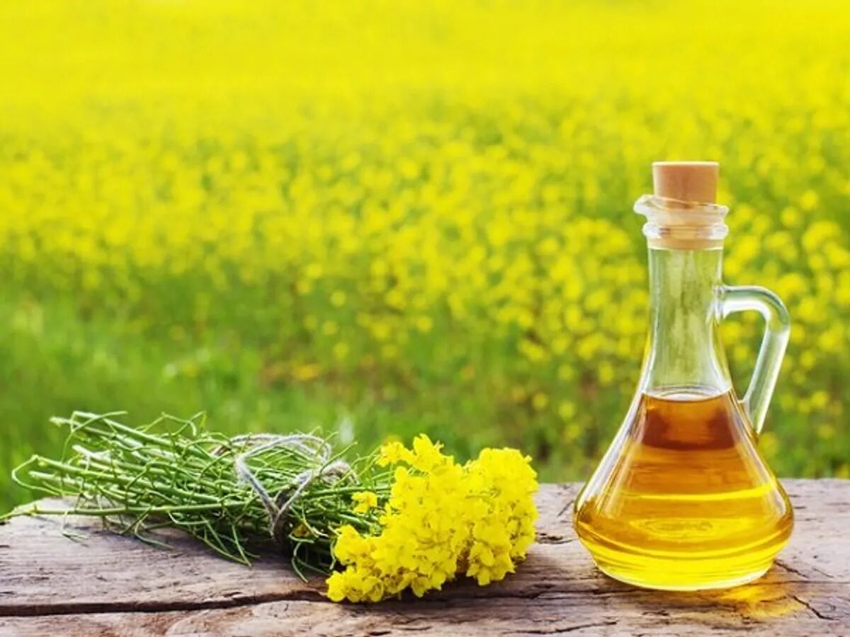 Mustard oil price today: सरसों तेल की कीमतें हुई सस्ती, देखे आज के ताजा भाव