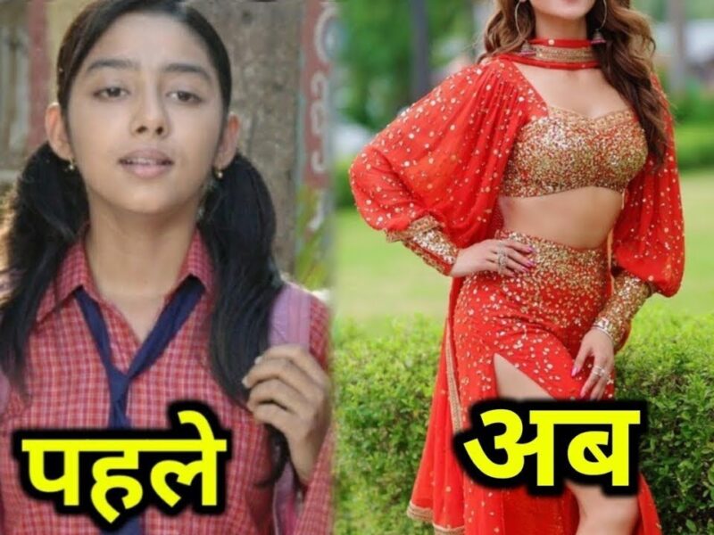 झील मेहता