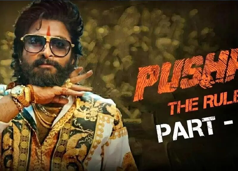 Allu Arjun की फिल्म पुष्पा 2 के दर्शकों को करना होगा इंतजार, जानिए कब होगी रिलीज