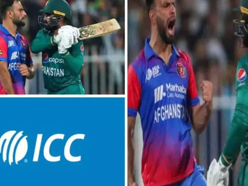 Asia Cup 2022: पाकिस्तान के आसिफ अली को अफगान क्रिकेटर से मैदान में हाथापाई करना पड़ा महंगा, ICC ने दी ये सजा