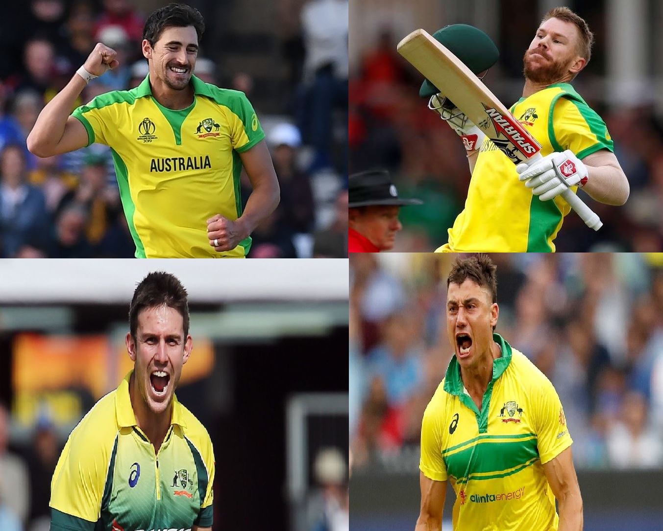 ऑस्ट्रेलिया की रणनीति का हुआ खुलासा! टी20 वर्ल्ड कप से पहले भारत दौरे में इस वजह से इन 4 मैच विनर को नहीं किया गया शामिल
