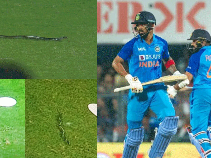 IND vs SA: भारत-साउथ अफ्रीका के बीच LIVE मैच में मैदान पर घुस आया सांप, खिलाड़ियों के उड़े होश! वायरल हो रहा VIDEO