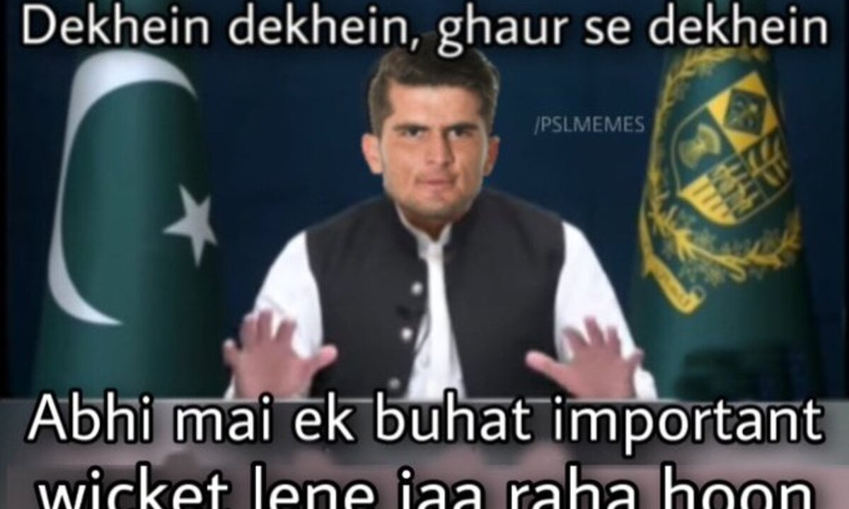 PAK vs NZ: “पाकिस्तान की जान हैं भाई”- शाहीन अफरीदी की गेंदबाजी से कीवियों के छूटे पसीने, फैंस ने खूब लुटाया प्यार