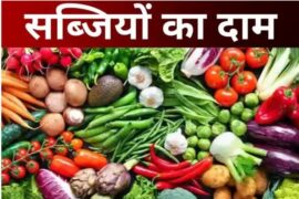 Vegetable Price