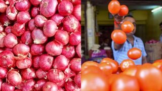 Vegetable Price