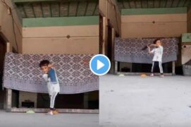 Cricket