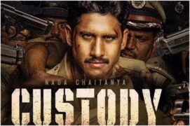 Custody